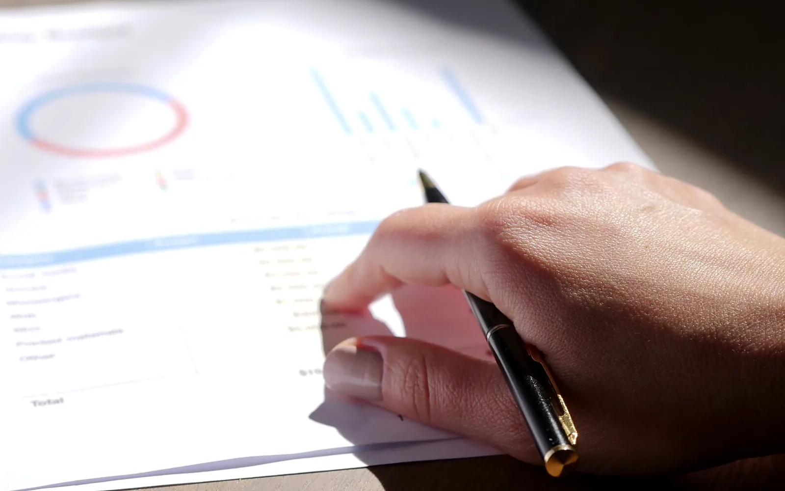 Reviewing corporate and tax compliance documents for an Iraqi company